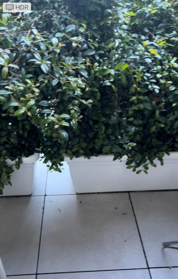 Apartament Loft Mono 3 Cagliari Zewnętrze zdjęcie